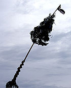 Maibaum