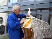 Möwen bringen Ostsee-Stimmung 